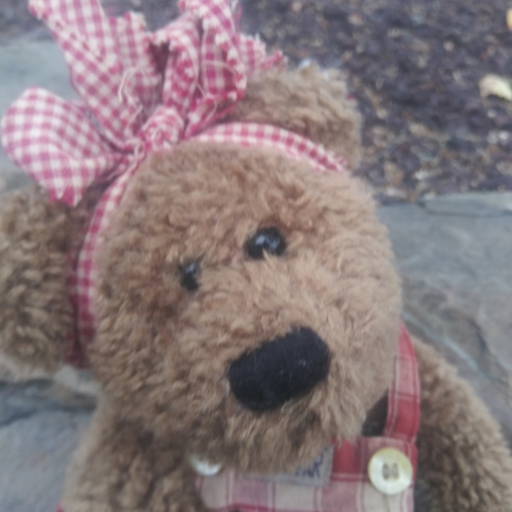Boyds Bear